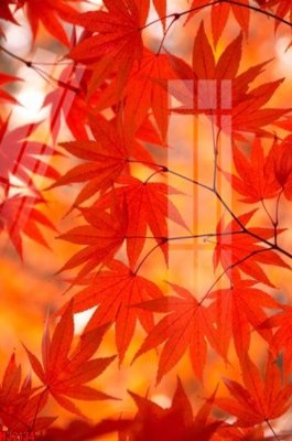 File tranh File tranh gốc in tranh tường nền tổng hợp H32134 (gốc) chủ đề trừu tượng