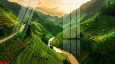 File tranh gốc File tranh gốc in tranh tường nền tổng hợp H32154 (bản quyền) độc đáo