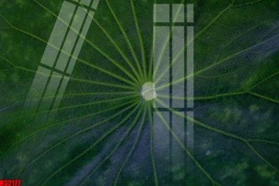 File gốc File tranh gốc in tranh tường nền tổng hợp H32177 (trang trí) cho phòng khách