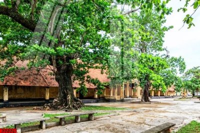 File PSD File tranh gốc in tranh tường nền tổng hợp H32226 (bản gốc) độ phân giải cao