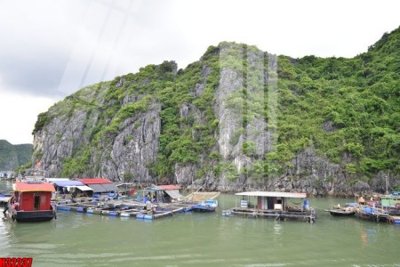 File gốc File tranh gốc in tranh tường nền tổng hợp H32237 (in 3D) nghệ thuật