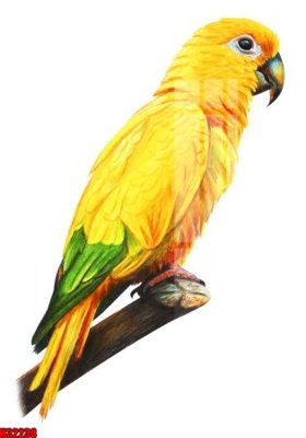 Download file gốc File tranh gốc in tranh tường nền tổng hợp H32238 (in mica) trang trí