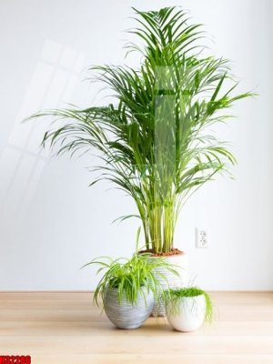 File gốc File tranh gốc in tranh tường nền tổng hợp H32286 (cho in 3D) độc đáo