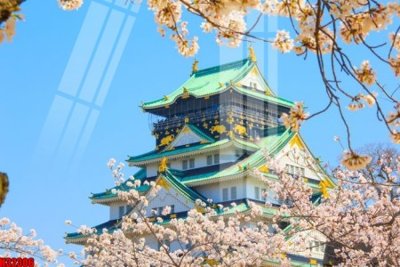 File gốc File tranh gốc in tranh tường nền tổng hợp H32306 (phiên bản chuẩn) để in ấn