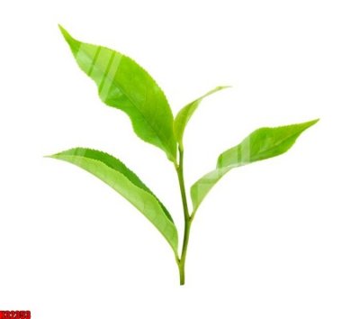 File tranh File tranh gốc in tranh tường nền tổng hợp H32353 (ảnh gốc) in trần xuyên sáng