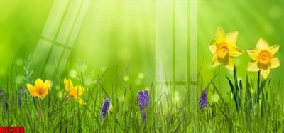 File gốc File tranh gốc in tranh tường nền tổng hợp H32388 (in 3D) nghệ thuật