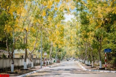 File tranh File tranh gốc in tranh tường nền tổng hợp H32418 (file gốc) chủ đề phong thủy