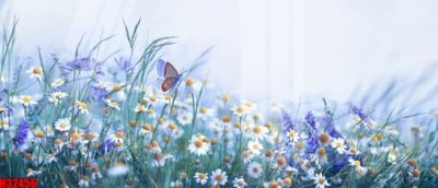 Tải file gốc File tranh gốc in tranh tường nền tổng hợp H32456 (in khổ lớn) không mờ