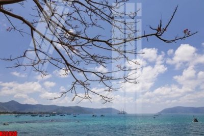 File gốc File tranh gốc in tranh tường nền tổng hợp H32458 (in ấn) màu sắc trung thực