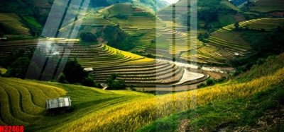 File gốc File tranh gốc in tranh tường nền tổng hợp H32468 (cho in 3D) độc đáo