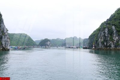 File gốc File tranh gốc in tranh tường nền tổng hợp H32492 (in lụa) tranh mã đáo