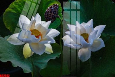 File ảnh File tranh gốc in tranh tường nền tổng hợp H32562 (gốc) in backdrop sự kiện