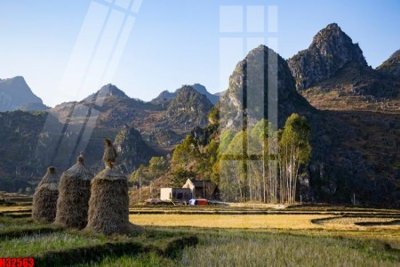 File in trần File tranh gốc in tranh tường nền tổng hợp H32563 (file gốc) hoa văn 3D