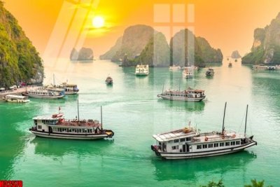 File tranh in trần File tranh gốc in tranh tường nền tổng hợp H32578 (ảnh gốc siêu nét)