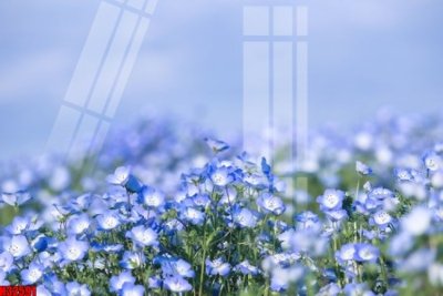 File in ấn chuyên nghiệp File tranh gốc in tranh tường nền tổng hợp H32591 (file gốc)