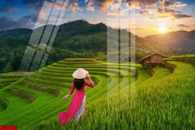 File gốc File tranh gốc in tranh tường nền tổng hợp H32695 (in mica) cắt laser