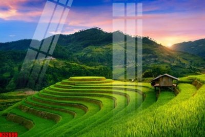 Tải file File tranh gốc in tranh tường nền tổng hợp H32699 (gốc) in trên mọi chất liệu