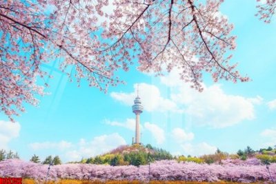 File tranh File tranh gốc in tranh tường nền tổng hợp H32752 (file gốc) chuẩn màu in