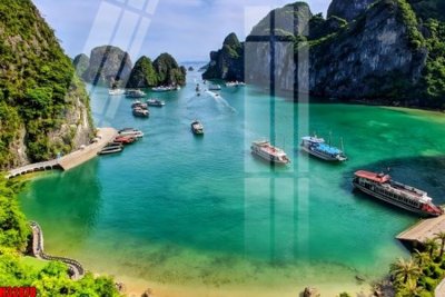 File gốc File tranh gốc in tranh tường nền tổng hợp H32878 (ảnh chi tiết) để in trần