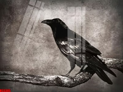 File PSD File tranh gốc in tranh tường nền tổng hợp H33305 (gốc) tách lớp chi tiết