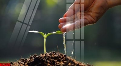 File tranh File tranh gốc in tranh tường nền tổng hợp H33320 (file gốc) chuẩn màu in