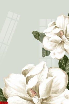 File gốc File tranh gốc in tranh tường nền tổng hợp H33451 (in tráng gương) sang trọng