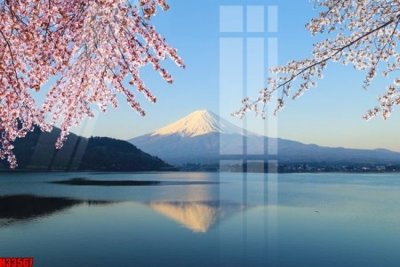 File tranh ảnh gốc File tranh gốc in tranh tường nền tổng hợp H33567 dùng cho in khổ lớn