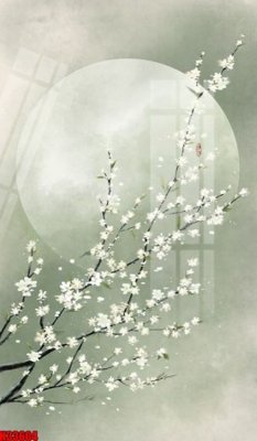 File in trần File tranh gốc in tranh tường nền tổng hợp H33604 (bản gốc) trời sao