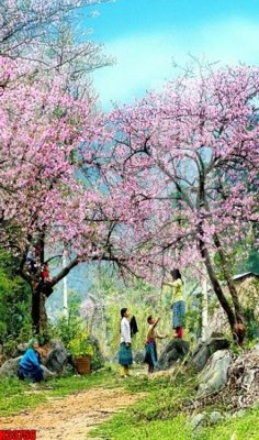 Tải file File tranh gốc in tranh tường nền tổng hợp H33756 (ảnh gốc) file AI/EPS