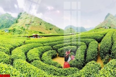 Tải file File tranh gốc in tranh tường nền tổng hợp H34050 (PSD) cho in ấn quảng cáo