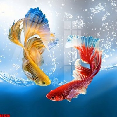 File tranh gốc File tranh gốc in tranh tường nền tổng hợp H34256 (bản quyền) độc đáo