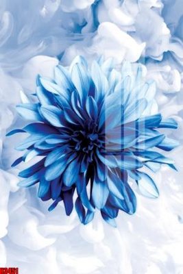 Download file gốc File tranh decor tranh bộ treo tường tổng hợp H3451 (in lụa) hoa lá