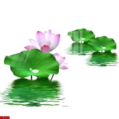 File tranh File tranh gốc in tranh tường nền tổng hợp H34733 (gốc) chủ đề tĩnh vật