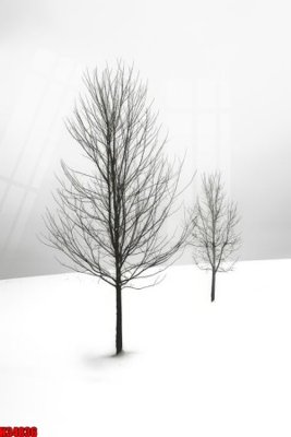 File gốc File tranh gốc in tranh tường nền tổng hợp H34836 (chuẩn màu) cho in offset