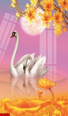 File gốc File tranh gốc in tranh tường nền tổng hợp H34934 (PSD/TIFF) độ phân giải cao