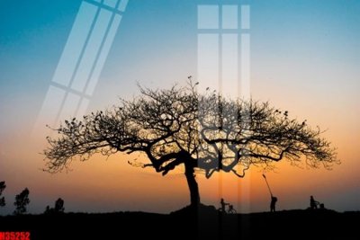 File gốc File tranh gốc in tranh tường nền tổng hợp H35252 (PNG) không nền chất lượng