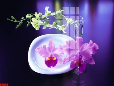 File gốc File tranh decor tranh bộ treo tường tổng hợp H3543 (PNG) không nền chất lượng