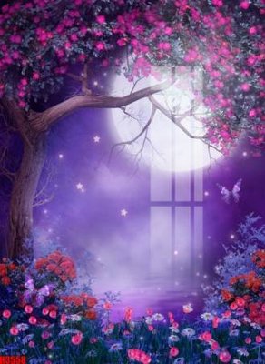 Mua file gốc File tranh decor tranh bộ treo tường tổng hợp H3558 (in ấn) tại Filetranh.com