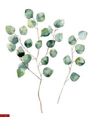 Tải file tranh File tranh gốc in tranh tường nền tổng hợp H35735 (ảnh gốc) ngay