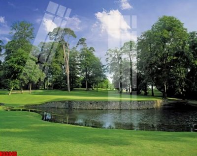 Tệp tin gốc File tranh gốc in tranh tường nền tổng hợp H35943 (dùng cho in ấn) chuyên nghiệp