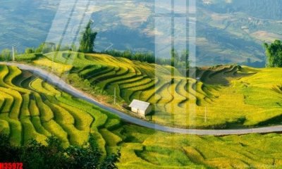 File tranh File tranh gốc in tranh tường nền tổng hợp H35972 (gốc) in vải canvas