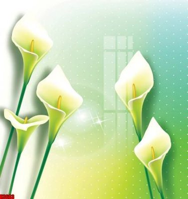 File tranh File tranh decor tranh bộ treo tường tổng hợp H3603 (gốc) in film