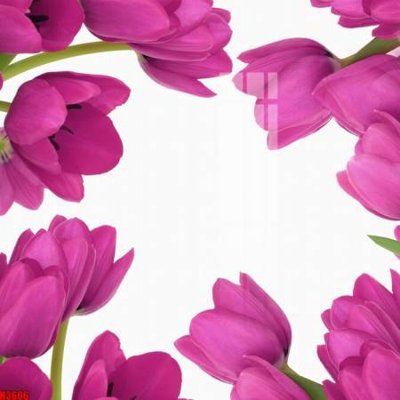 File ảnh File tranh decor tranh bộ treo tường tổng hợp H3606 (gốc) in decal dán tường