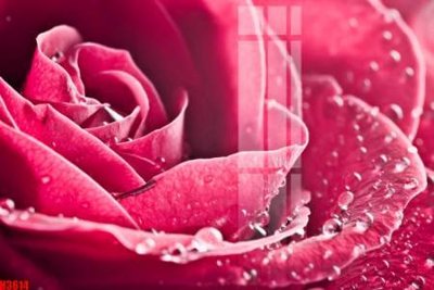 Tải file gốc File tranh decor tranh bộ treo tường tổng hợp H3614 (bản PSD) chỉnh sửa được