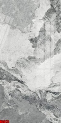 File tranh File tranh gốc in tranh tường nền tổng hợp H36171 (gốc) chủ đề động vật