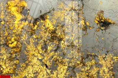 File ảnh File tranh gốc in tranh tường nền tổng hợp H36306 (gốc) in poster