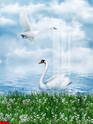 File ảnh File tranh decor tranh bộ treo tường tổng hợp H3640 (gốc) in poster