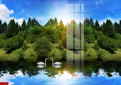 File tranh File tranh decor tranh bộ treo tường tổng hợp H3642 (gốc) in vải canvas