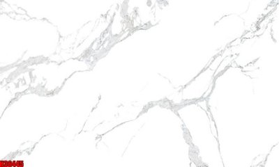 File tranh File tranh gốc in tranh tường nền tổng hợp H36445 (gốc) chủ đề thiên nhiên