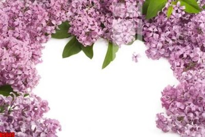 File in lụa File tranh decor tranh bộ treo tường tổng hợp H3649 (tân cổ điển) File tranh decor tranh bộ treo tường tổng hợp H3649